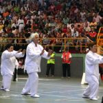 Campeonato Kung Fu 2006