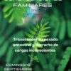 Taller de Constelaciones familiares